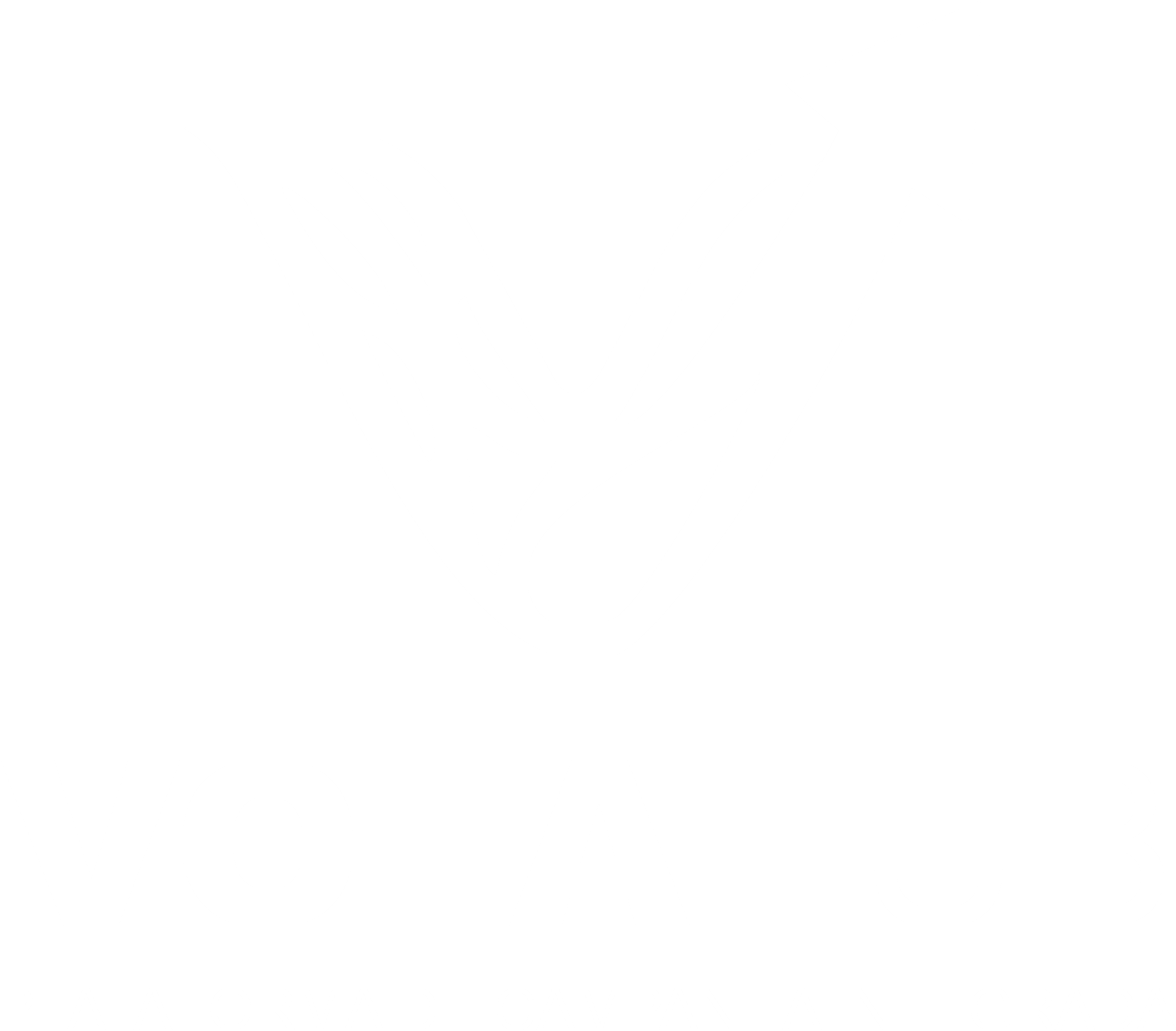 VOTAHUB
